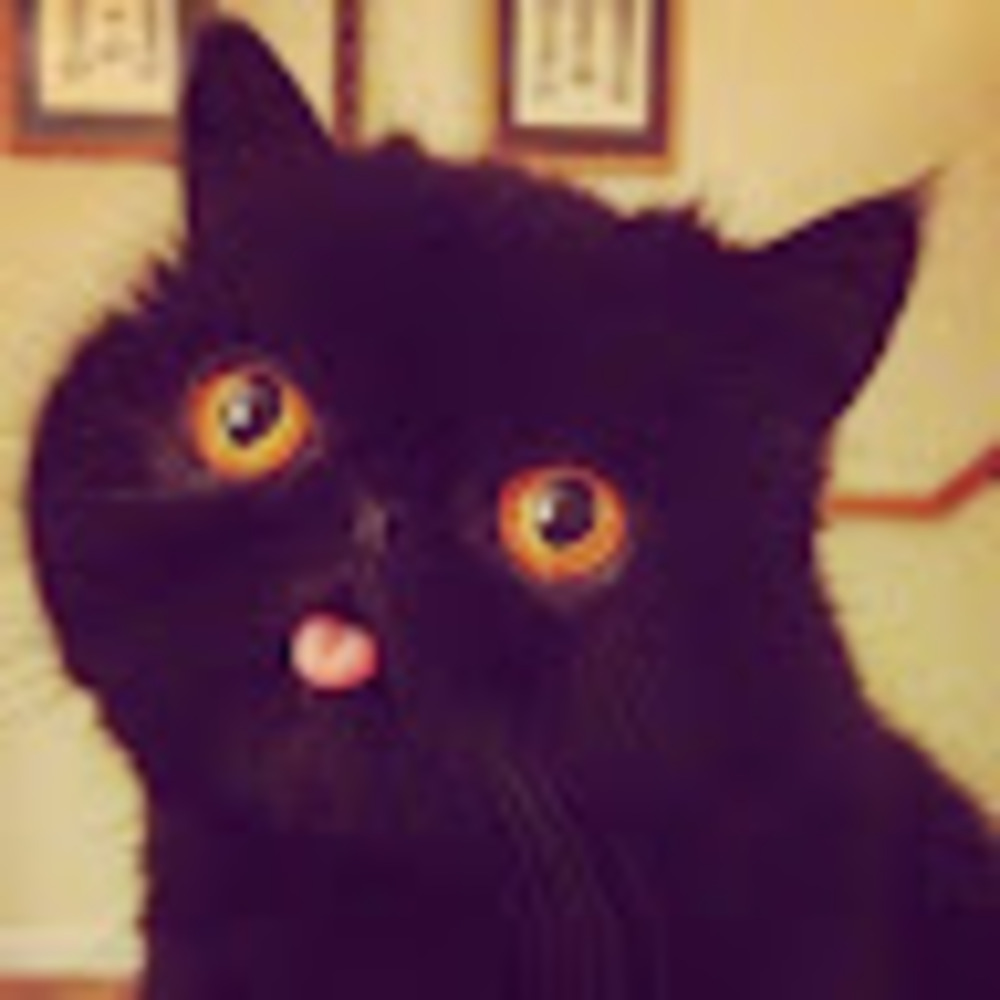 Meet your Posher, Richard